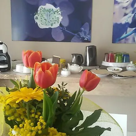 Bed & Breakfast Il Colore Dei Sogni Due Carrare