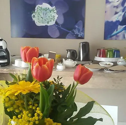 Couette-café Il Colore Dei Sogni Due Carrare